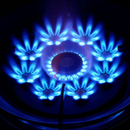 Cocina Portátil de 2 Hornallas en Vidrio Templado Eléctrica (Portátil y Económica) +REGALOS: Kit de Utensilios de Cocina